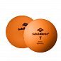 Мячики для настольного тенниса Donic 1T-Training, 6 шт. 618198