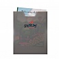 Ортопедический школьный ранец Derdiedas серии ErgoFlex 000405-035 Настоящая любовь