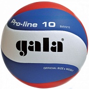 волейбольный мяч gala pro-line bv5121s
