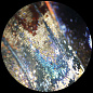 Микроскоп Bresser Analyth STR 10–40x стереоскопический