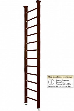 Шведская стенка Kampfer Classic Ceiling Высота 3м