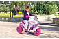 Детский электромотоцикл Peg-Perego Flower Princess IGED0923
