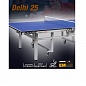 Профессиональный теннисный стол Donic Persson 25
