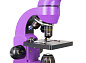 Микроскоп Levenhuk Rainbow 50L Plus
