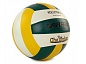 Мяч волейбольный Larsen PVC054